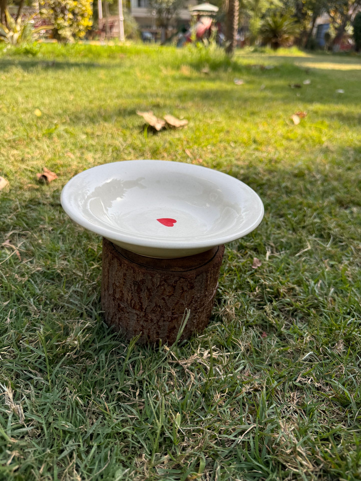 Single Heart Pasta Plate (Pack of 1)