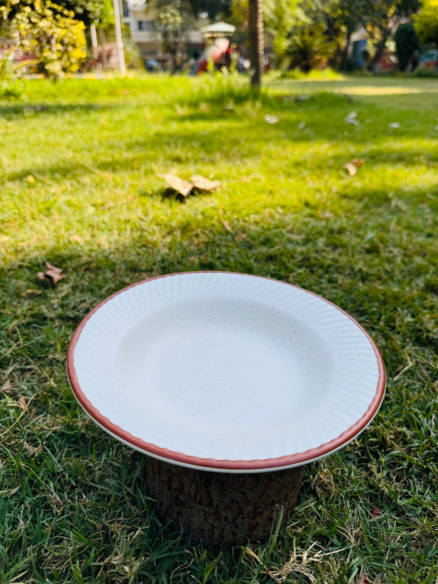 White Pasta Plate (Pack of 1)