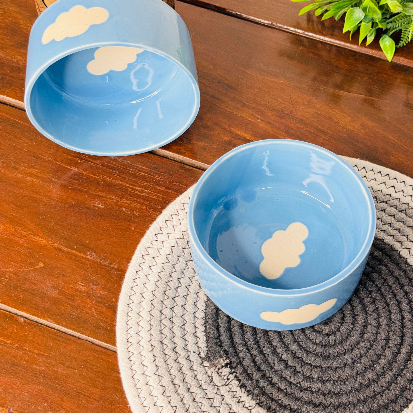 Sky Blue Cloud Breakfast Bowl (Pack of 1)
