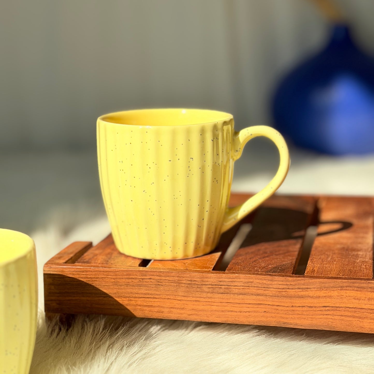 SunnySpeck Ribbed Ceramic Coffee Mug