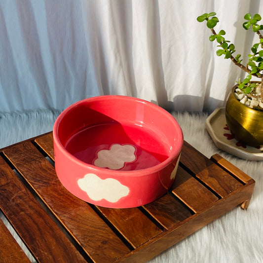 Pink Cloud Breakfast Bowl