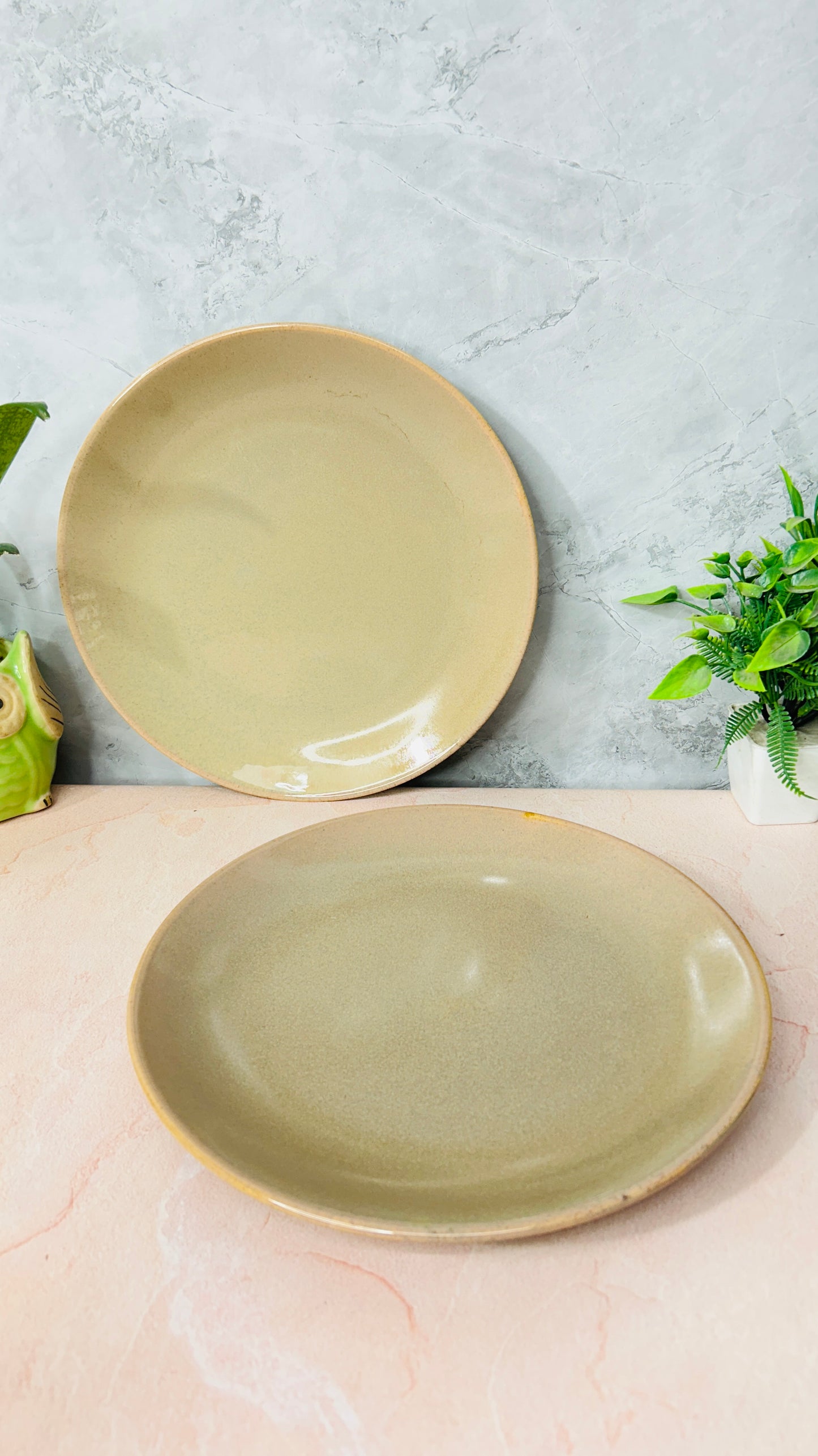Studio Beige Dinner Plate (Pack of 1)