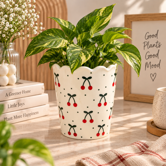 Cherry Love Scalloped Ceramic Multipurpose Holder