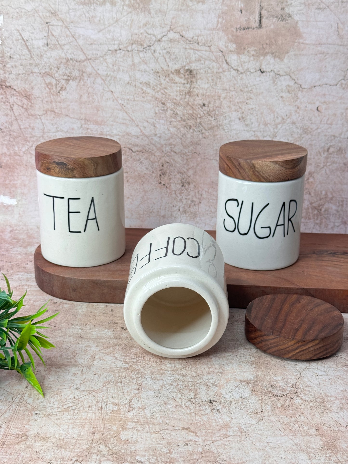 Tea Coffee Sugar Airtight Set  (Pack of 3)