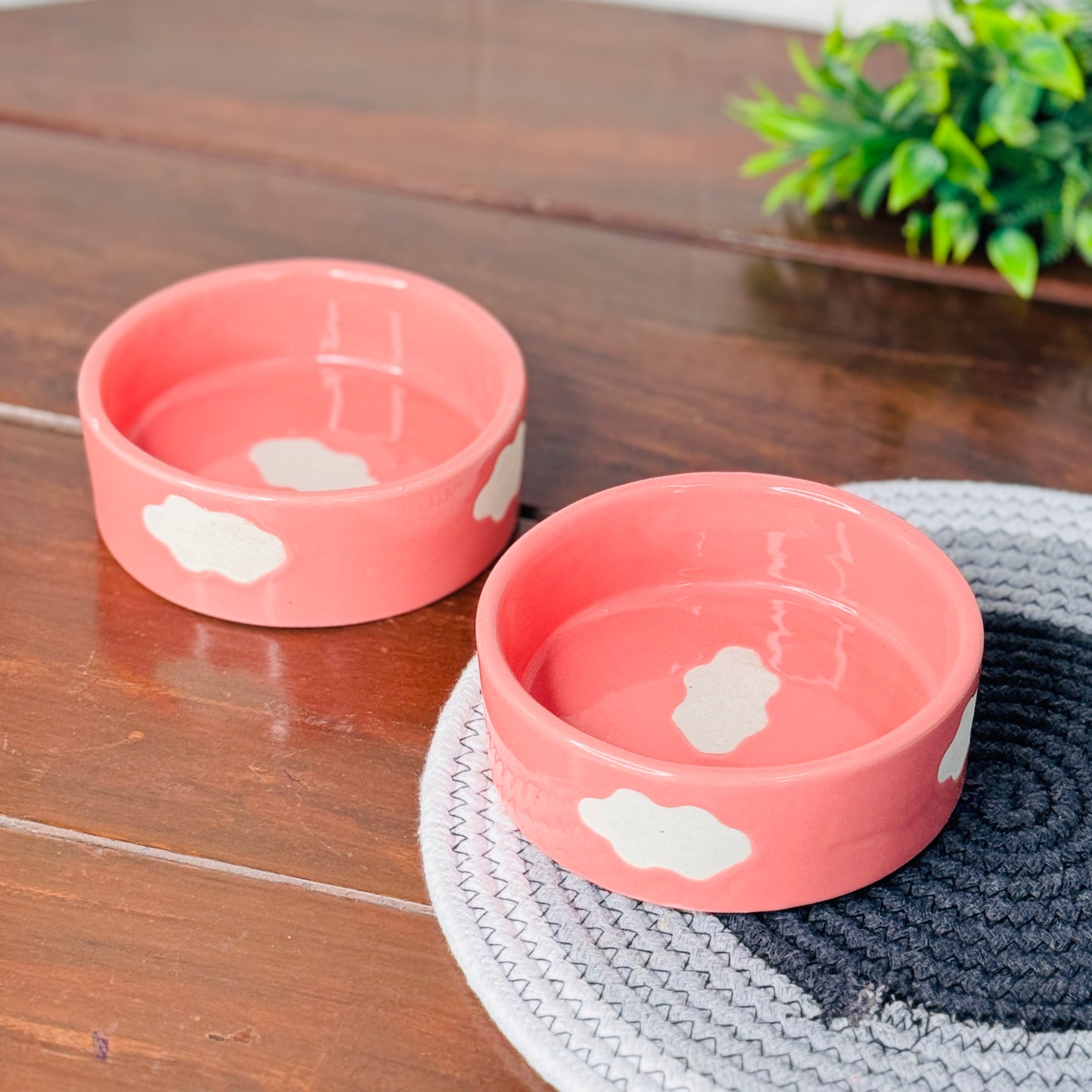 Day Dream Breakfast Bowl (Pack of 1)