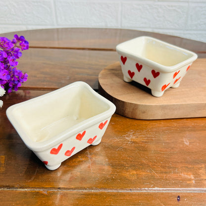 Red Heart Succulent Tray (Pack of 1)