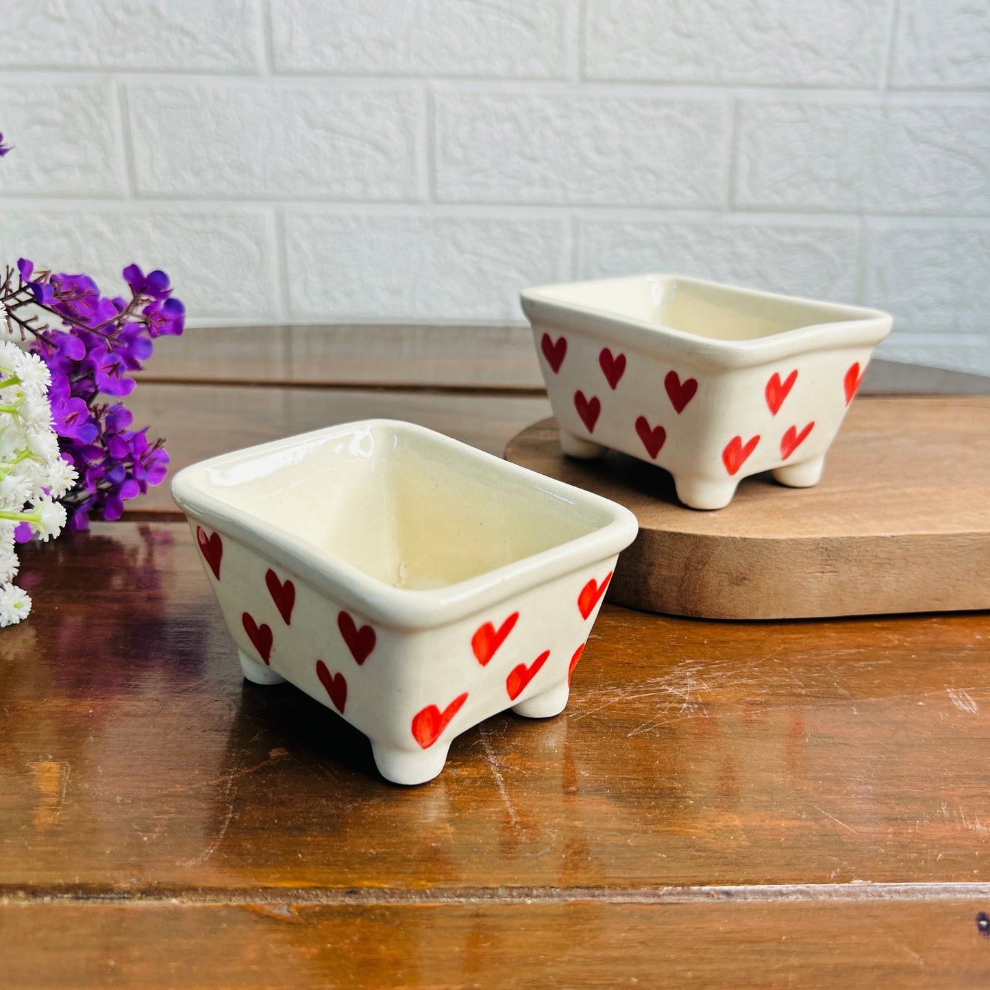 Red Heart Succulent Tray (Pack of 1)