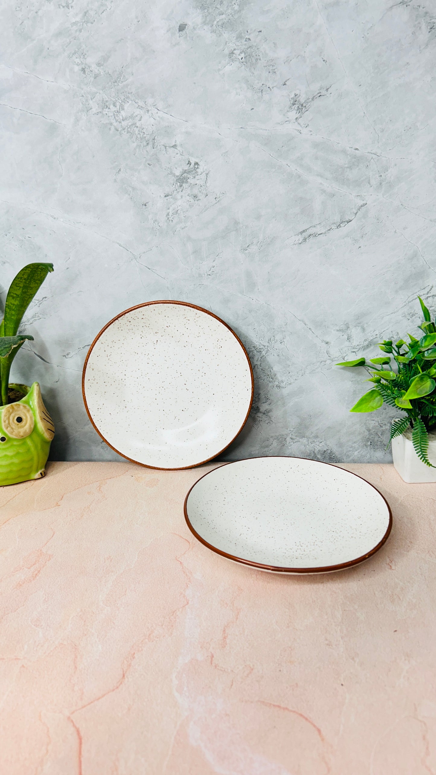 White Sprinkle Quarter Plate (Pack of 1)